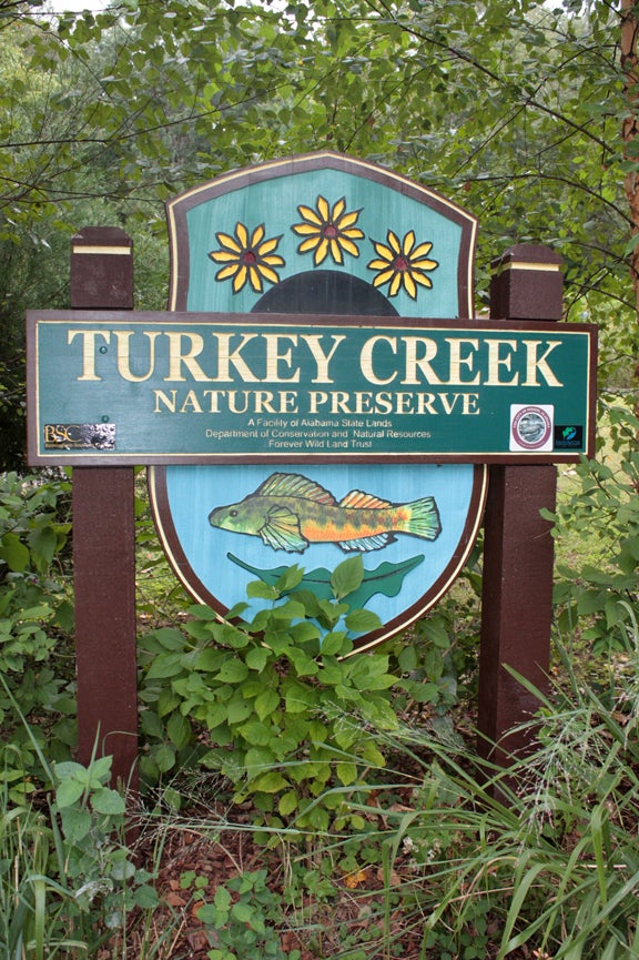 Alabama's Turkey Creek Nature Preserve Is Perfect For A Summer Day