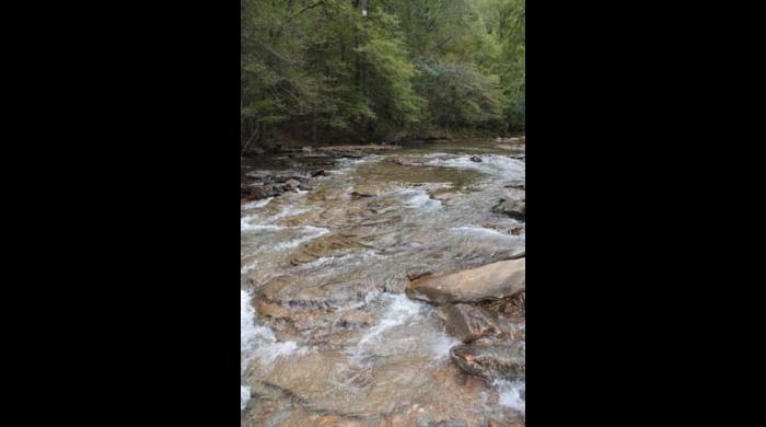 Turkey Creek Nature Preserve Archives - Alabama Recreation Trails